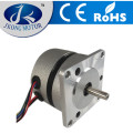 DC-Motor mit niedrigem Drehmoment und hohem Drehmoment Bürstenloser DC-Motor 36 V DC-Motor